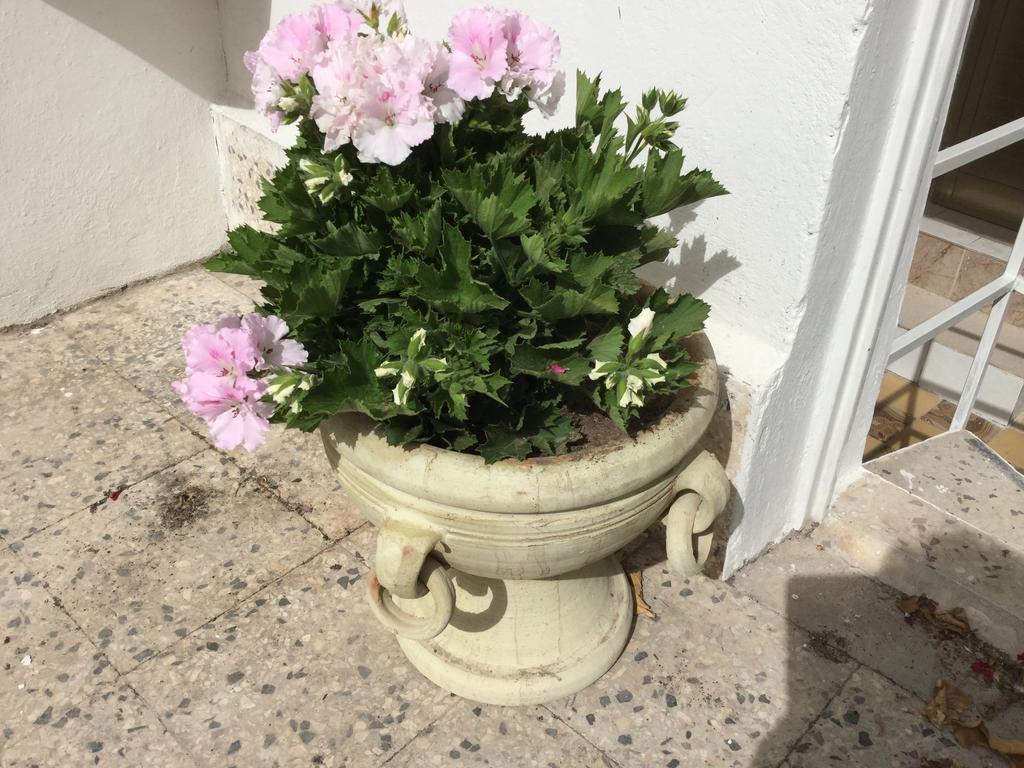 Case Vacanze Le Rose Βίλα Νότο Εξωτερικό φωτογραφία